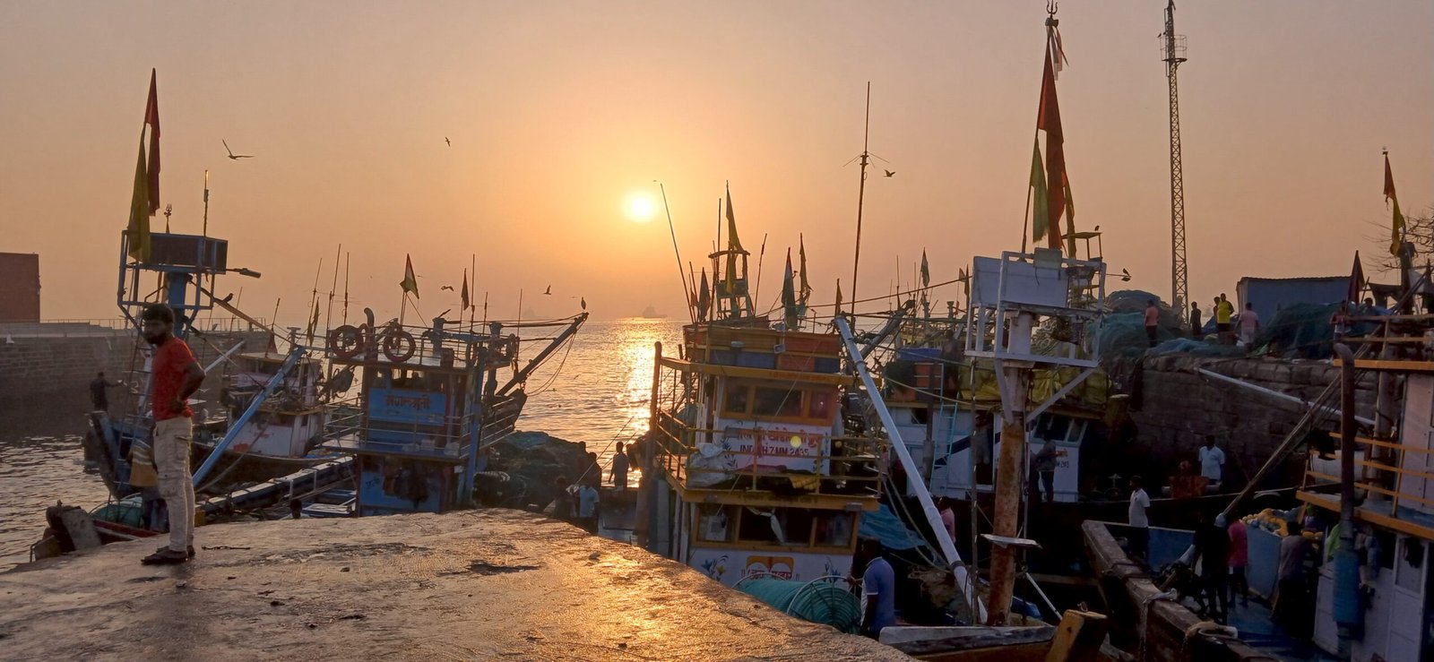 Dawn at Sassoon Dock fish market in Mumbai