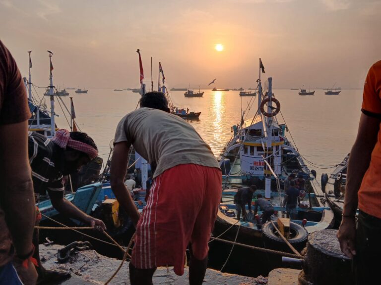 Sassoon Dock at sunrise on the Mumbai dawn tour